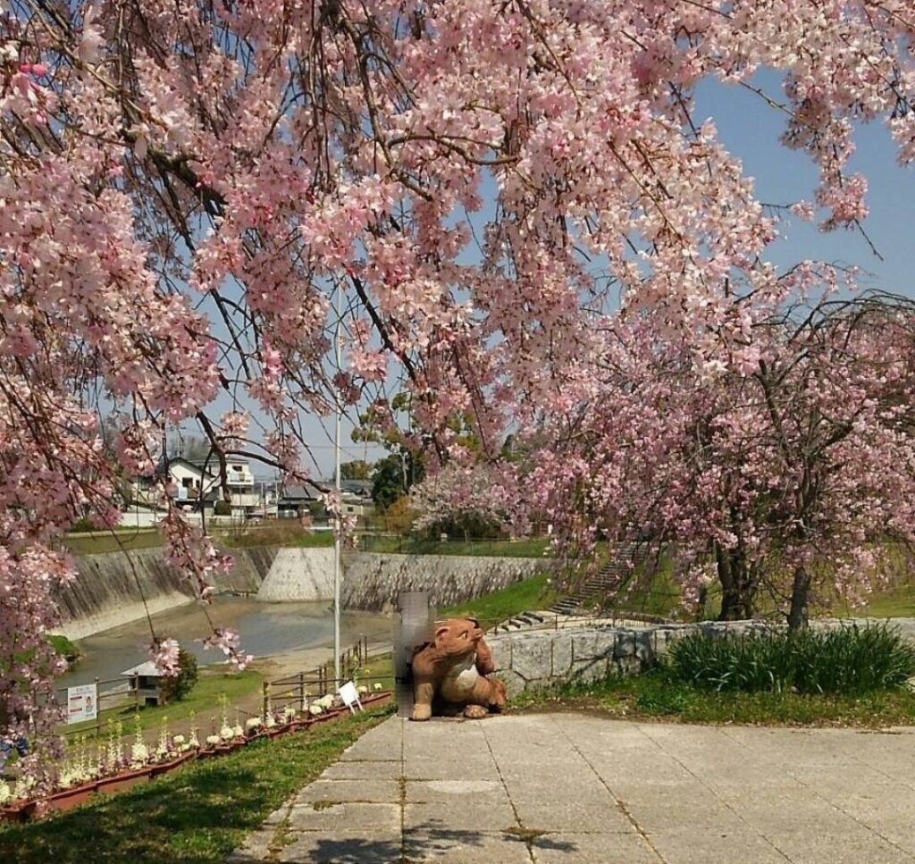Hitsuji-park spring
